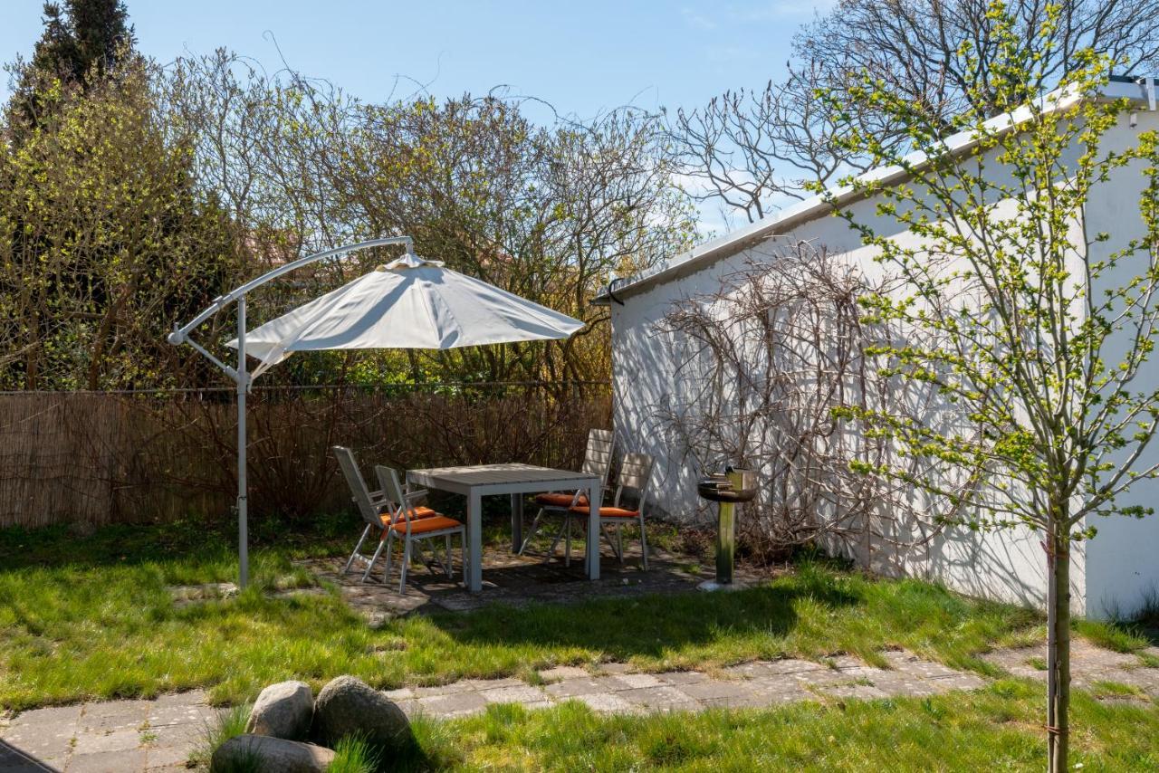 Himbeere Mit Großem Garten